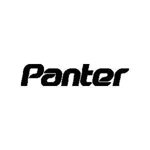 لوگوی پنتر